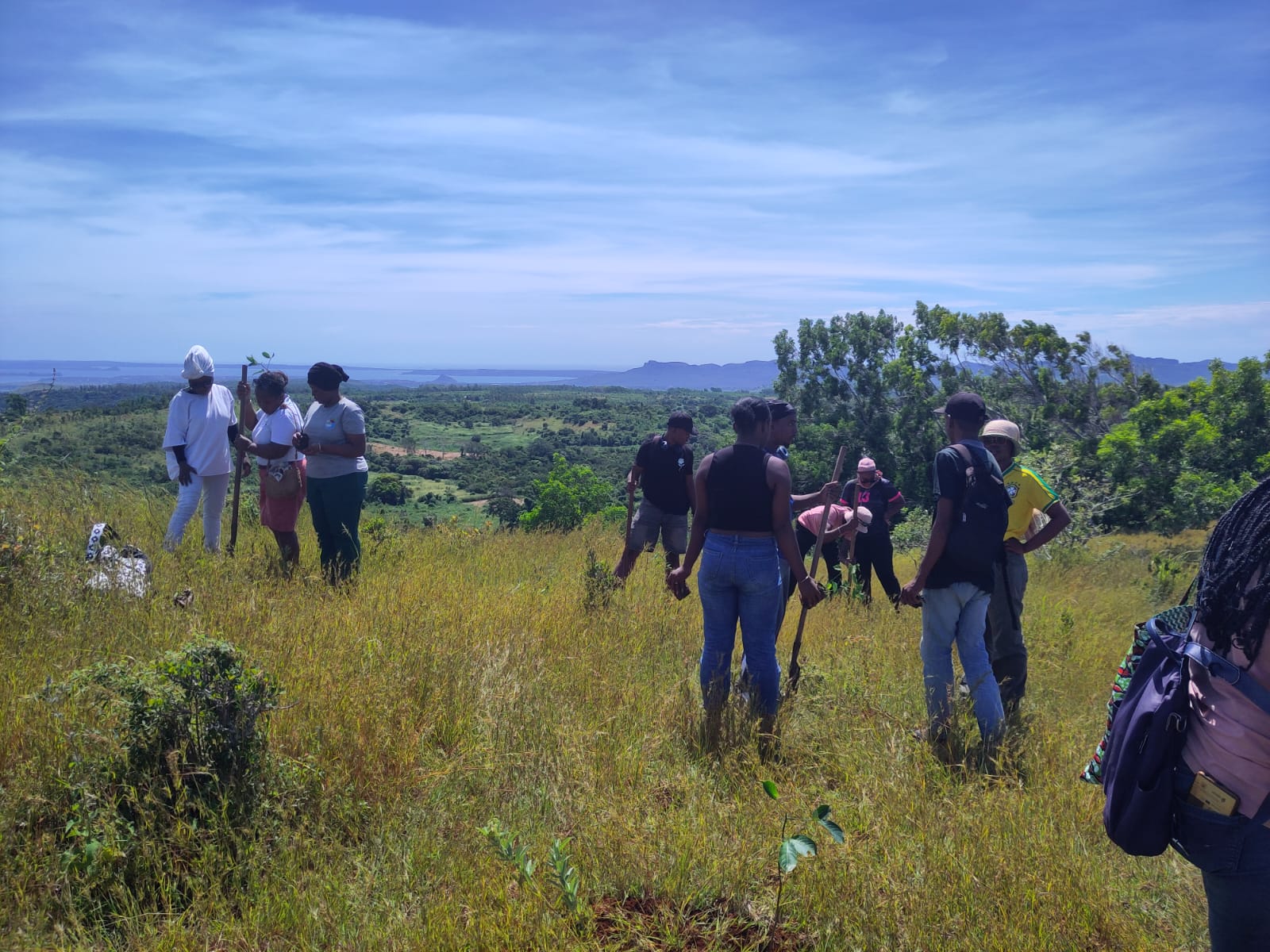 Action collective en plein air